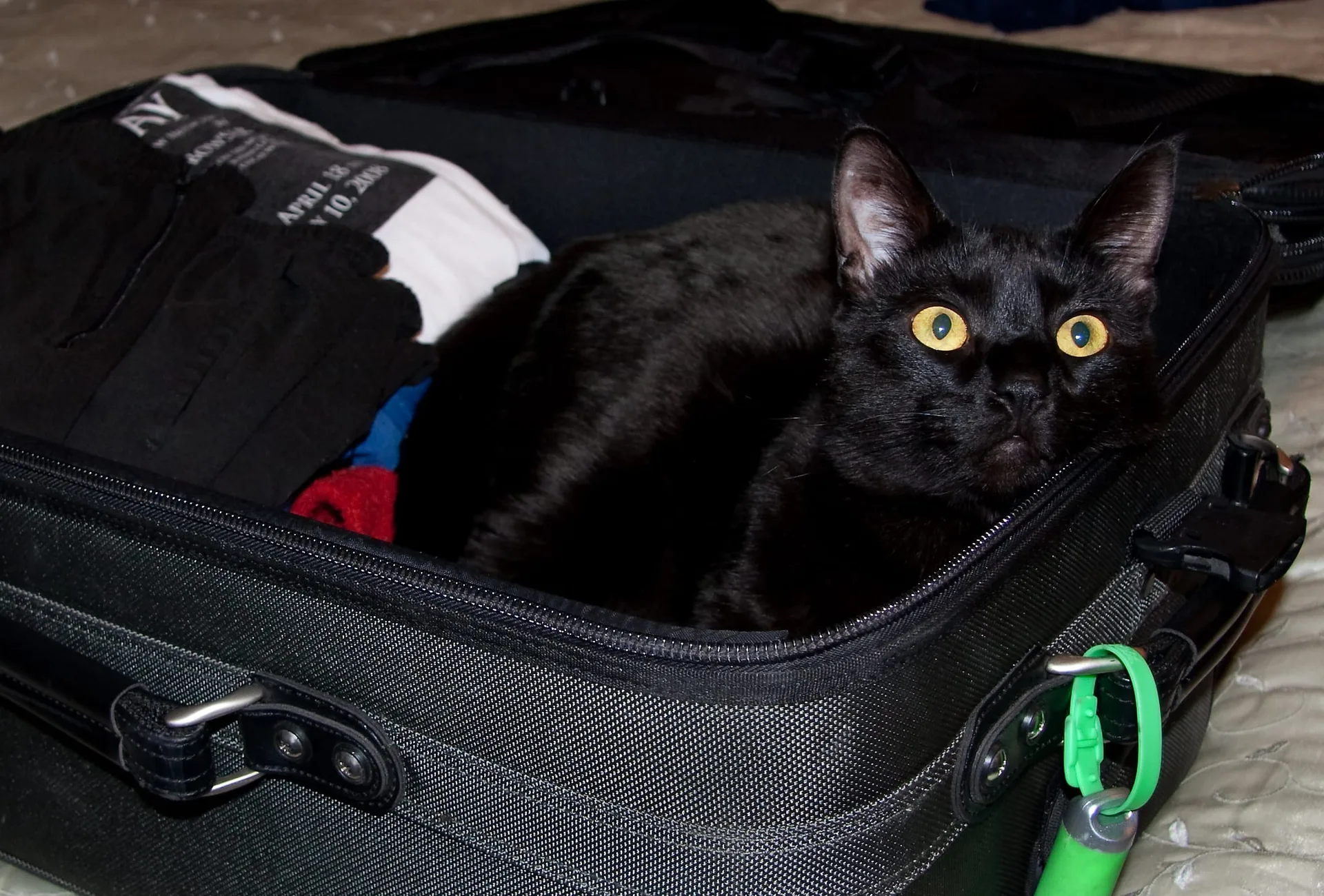 Packliste & Gepäck