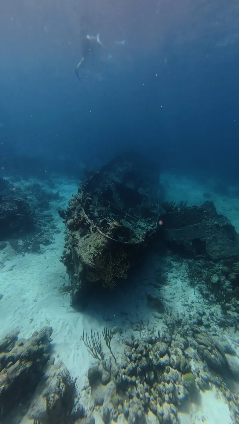 Tugboat wreck 5